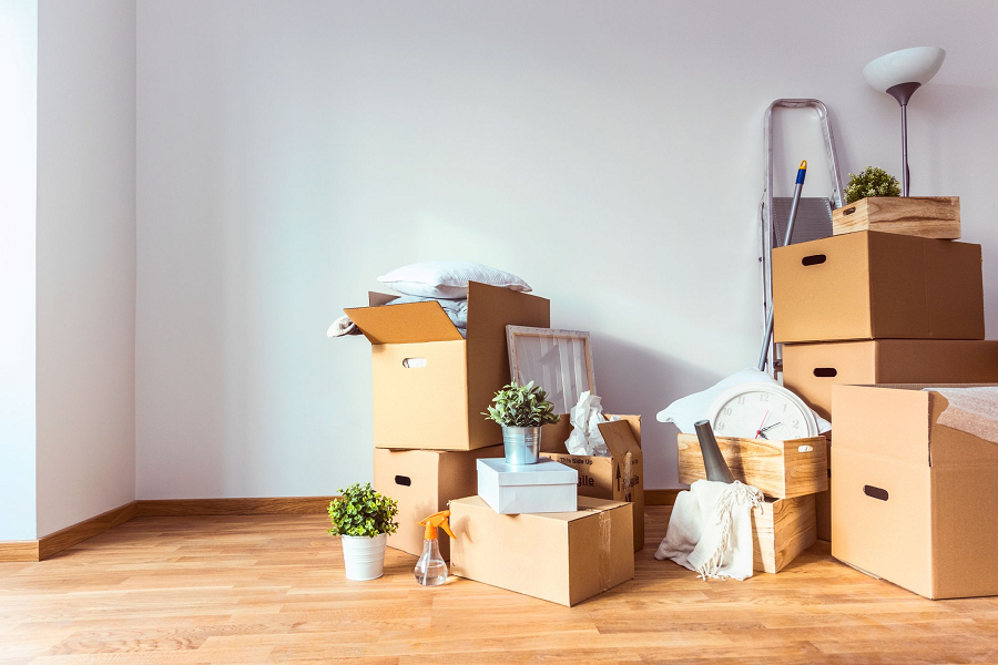 How To Relocate Plants Safely During A Move