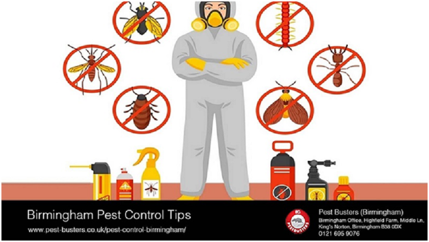 Birmingham Pest Control Tips and Tricks