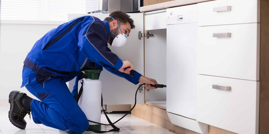 Ensure you hire a Reliable and Competent Pest Control Service 