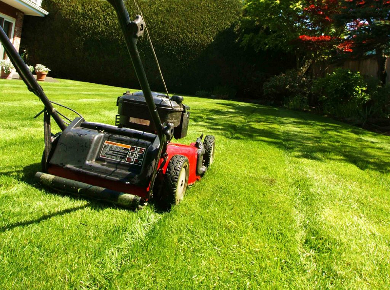 Why Is Lawn Maintenance Important?