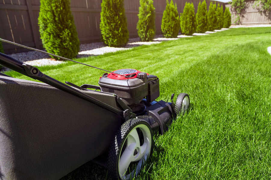 What Makes A Good Lawn Care Company?
