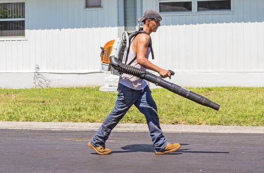 5 Tips for How to Choose the Right Backpack Leaf Blower for You