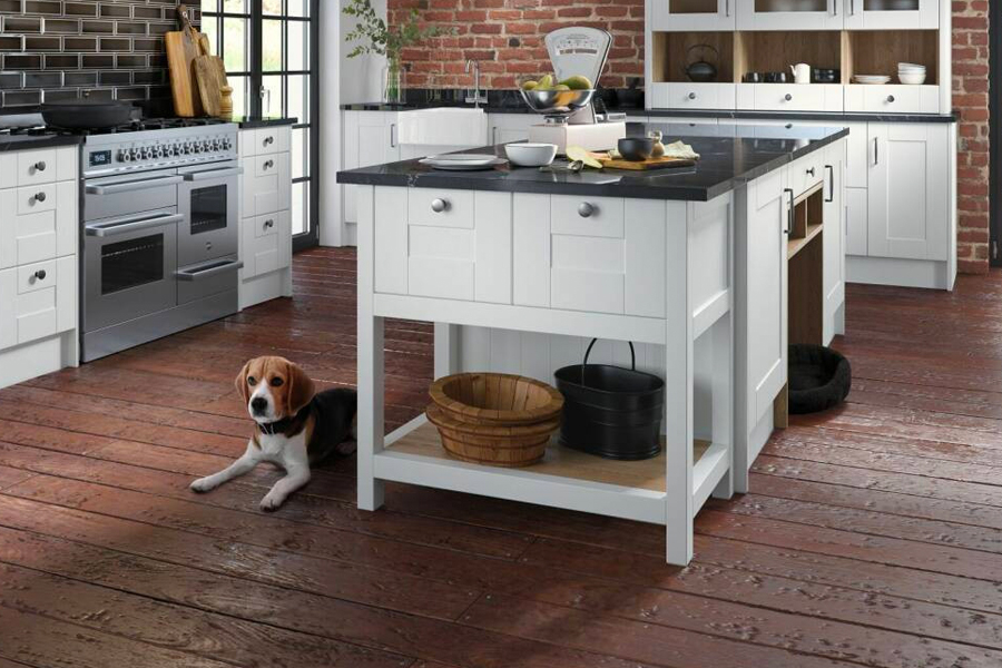 Tips To Achieve Your Pet-Friendly Kitchen