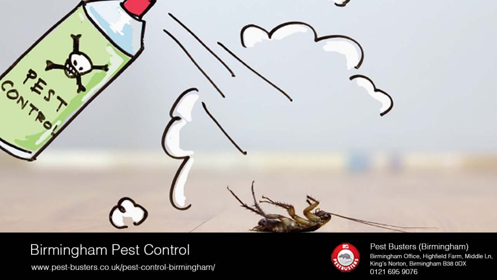 Birmingham Pest Control Tips and Tricks House of Harper Blog