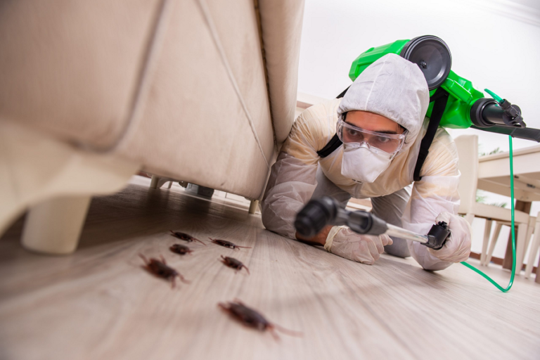 Types of Pest Controls House of Harper Blog