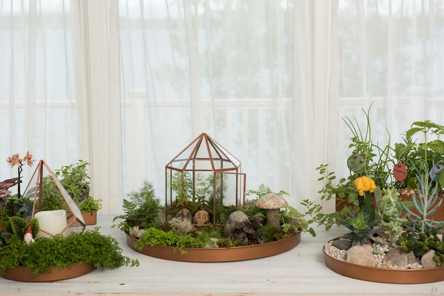 DIY Indoor Garden