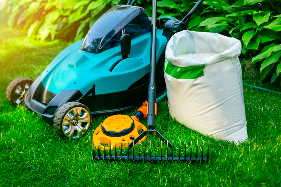 5 Best tips to follow for yard care in your home in 2022