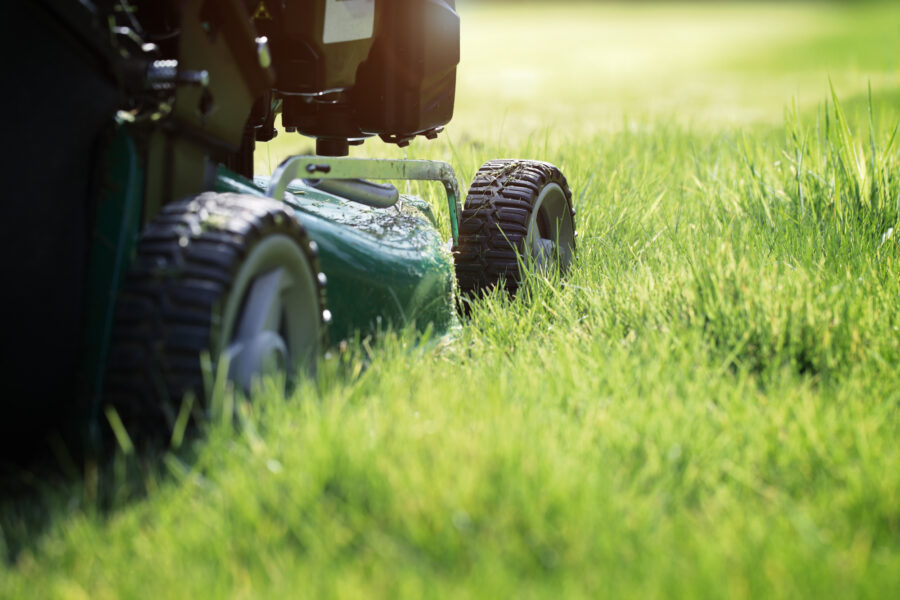 How to Hire Lawn Care Services: The Complete Guide for Homeowners