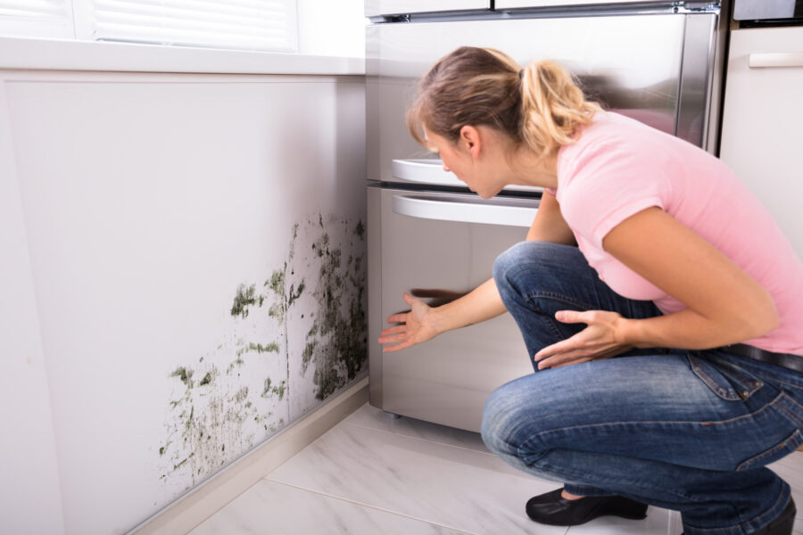 How to Check for Mold After Water Damage