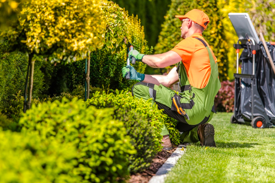 Gardening Services You Can Take