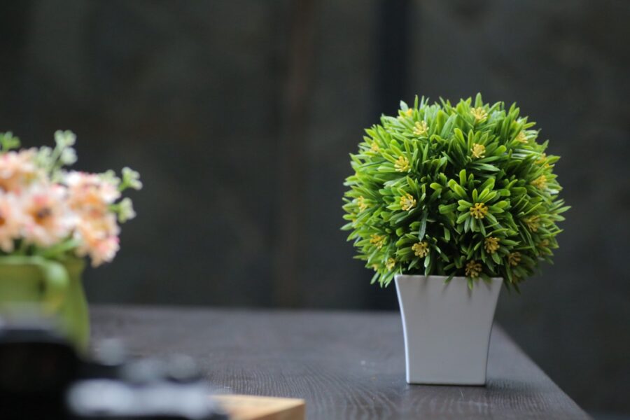5 Myths About Artificial Plants Debunked