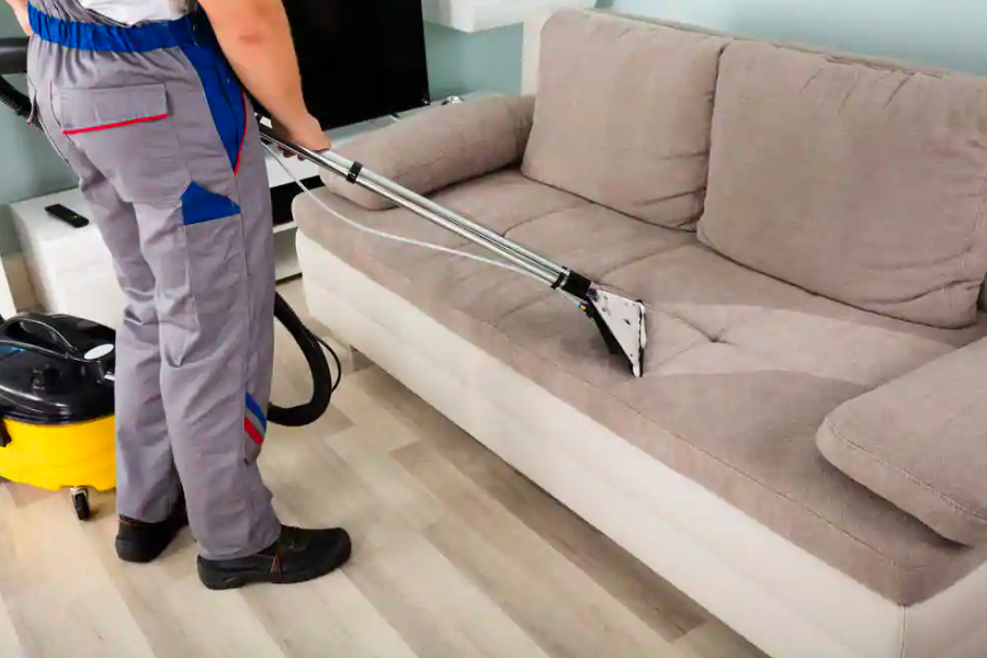5 Reasons Why Realtors Recommend Professional Carpet Cleaning