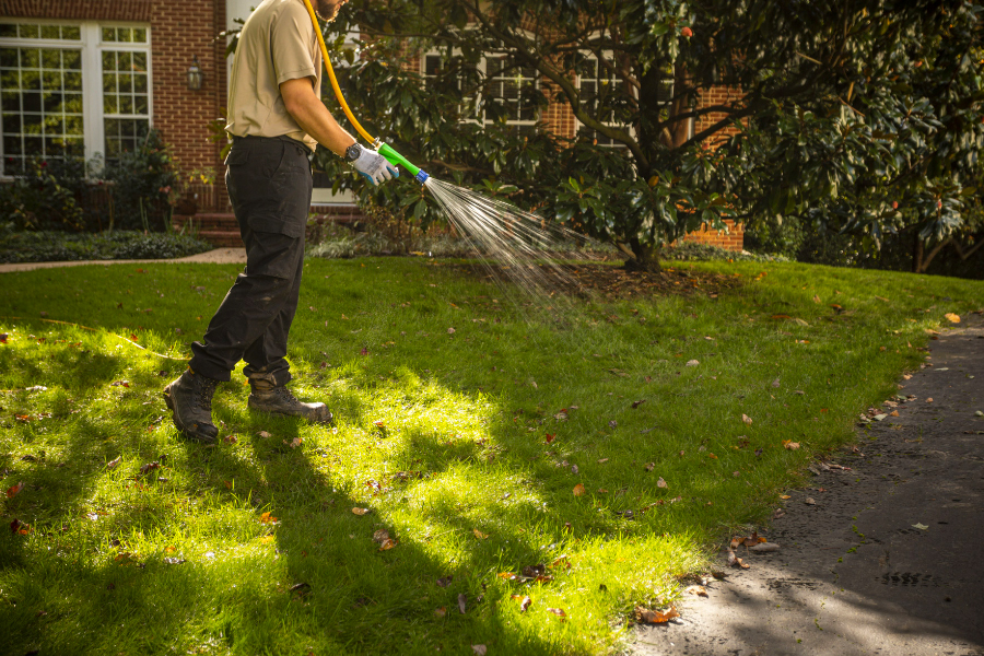 Lawn Care vs. Landscaping: Is There a Difference?