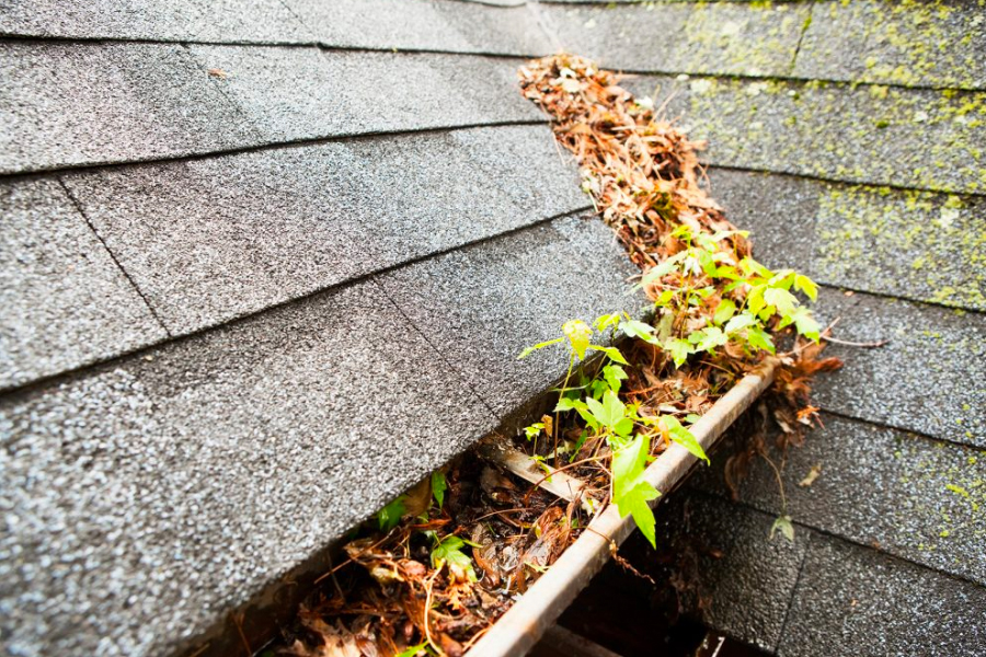 The Impact of Clogged Rain Gutters on Your Home and Health