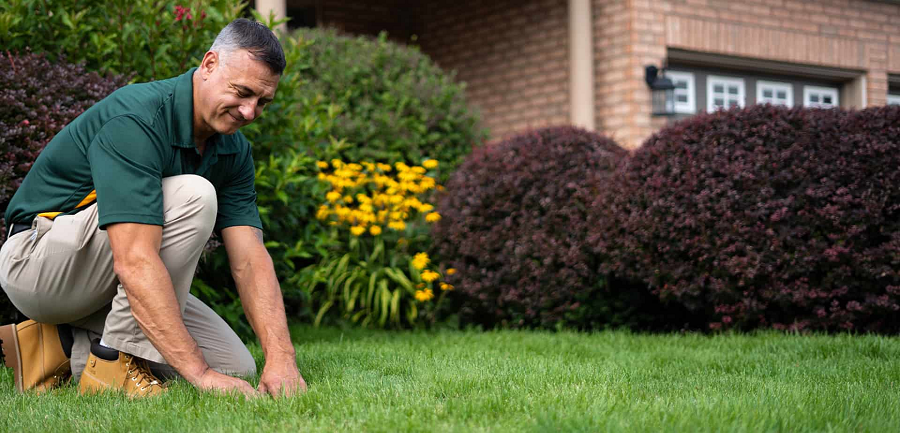 Magnolia Landscaping Your Denver Lawn Care Service