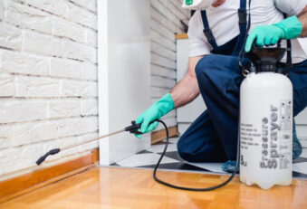 The Cost of Pest Control in Walthamstow