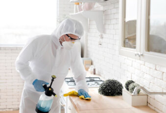 What to Expect from a Pest Control Company in Singapore