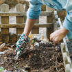 Soil Health Starts at Home How Composting Boosts Plant Growth