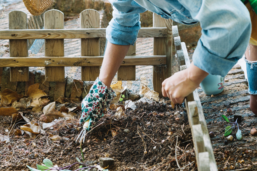 Soil Health Starts at Home How Composting Boosts Plant Growth