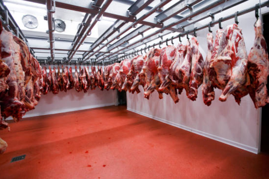 A Dedicated Cold Storage Solution Provider for Chinas Food and Beverage Industry